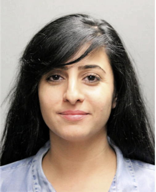 DINA M MANSOUR, Cook County, Illinois