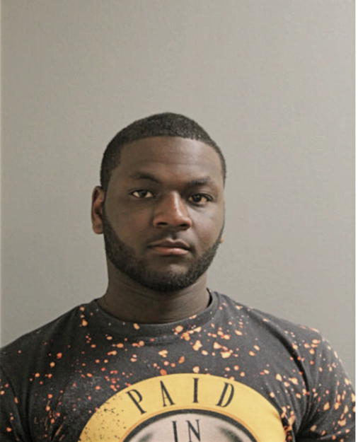 RICKY R WILLIAMS, Cook County, Illinois