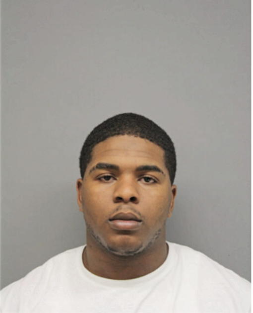 LADERRICK L TURNER, Cook County, Illinois