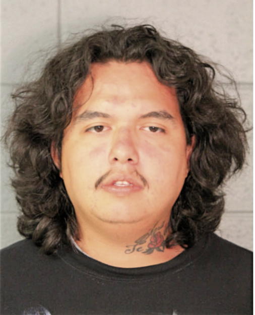 TIMOTHY R VILLAREAL, Cook County, Illinois