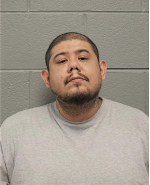 HECTOR L DELGADO, Cook County, Illinois