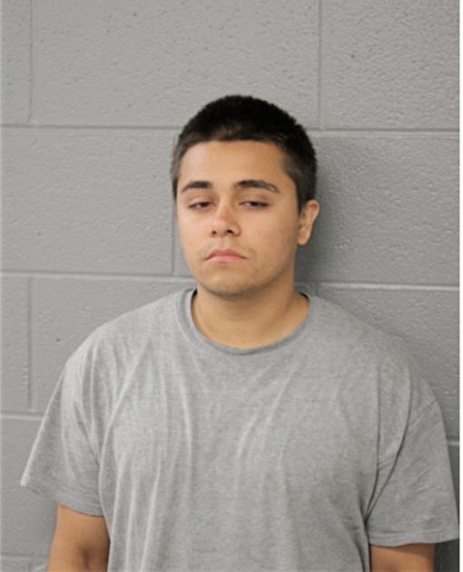 JULIO C GARCIA, Cook County, Illinois