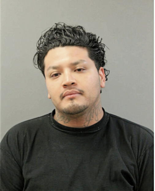 RAUL DIAZ, Cook County, Illinois