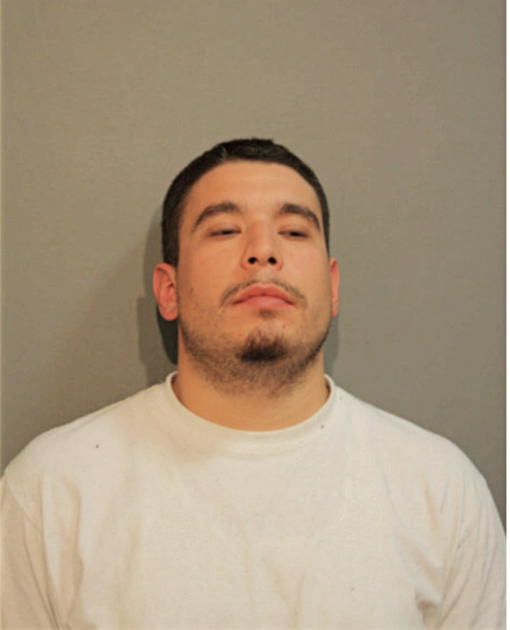 REYNALDO MALDONADO, Cook County, Illinois