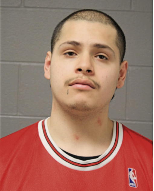 MANUEL D ROBLES, Cook County, Illinois
