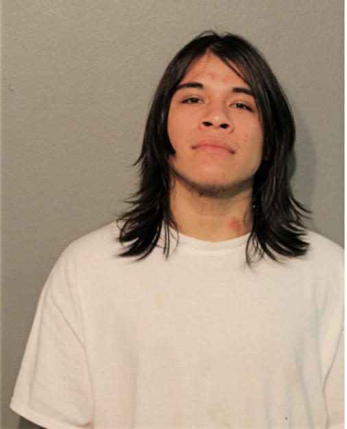 DELFINO RODRIGUEZ, Cook County, Illinois