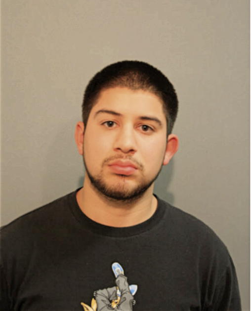 RICARDO PEREZ, Cook County, Illinois