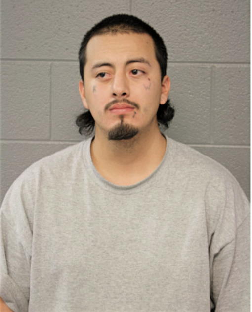 JULIO ROJAS, Cook County, Illinois