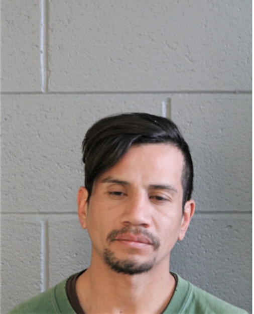 MARIO A GARCIA-MEDINA, Cook County, Illinois