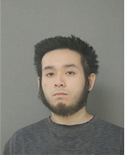 VINCENT H TRAN, Cook County, Illinois