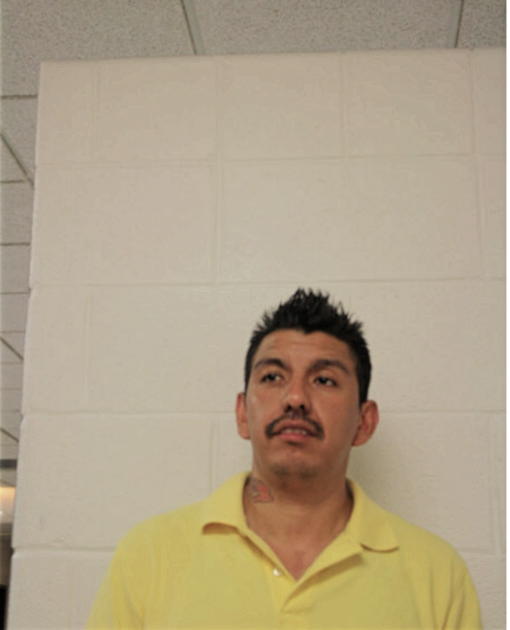 JOSE LUIS ROMERO FERNANDEZ, Cook County, Illinois