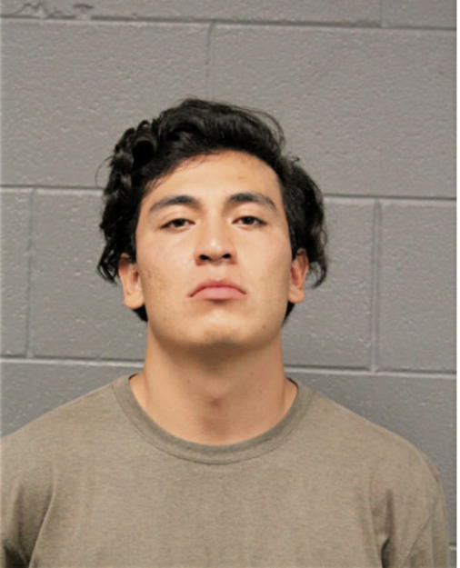 ANTHONY MIGUEL VARGAS OLMOS, Cook County, Illinois
