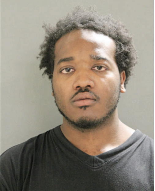 RAYNARD J SULLIVAN, Cook County, Illinois