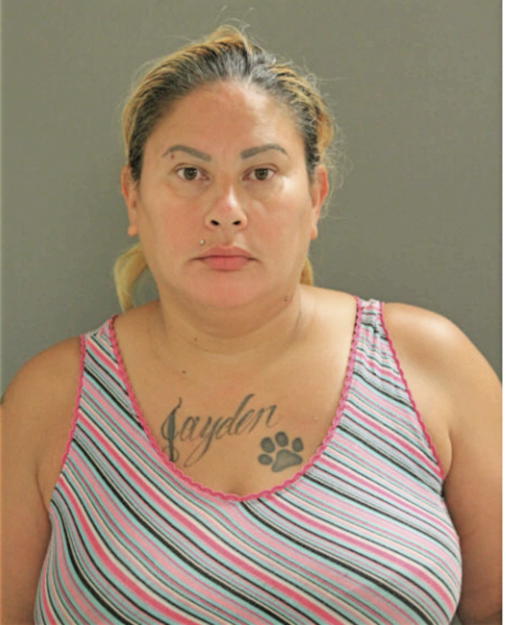 LIZANDRA M MERCADO- MENDEZ, Cook County, Illinois