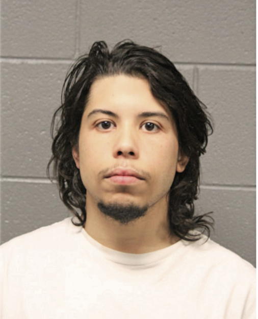 LOUIS A RODRIGUEZ, Cook County, Illinois