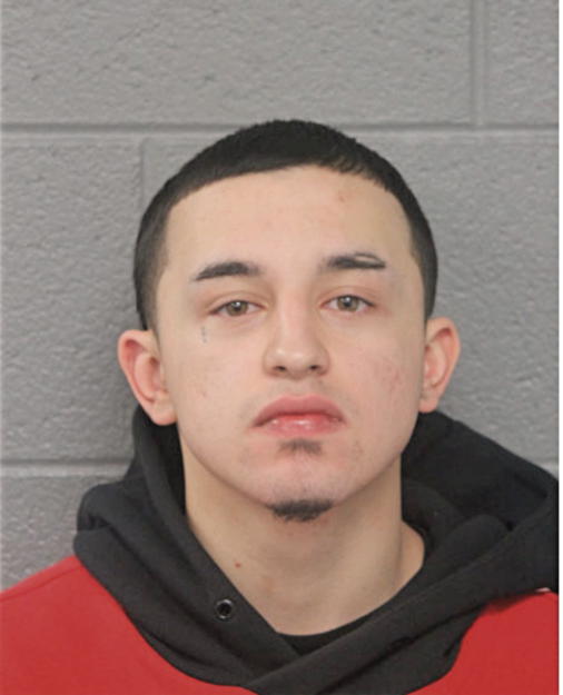 SALVADOR V RODRIGUEZ, Cook County, Illinois