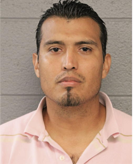 JULIO C CERVANTES-MUNOZ, Cook County, Illinois