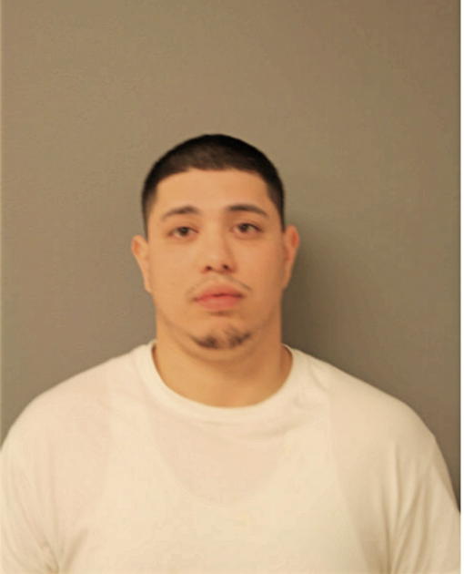 RYAN XAVIER MENDOZA, Cook County, Illinois