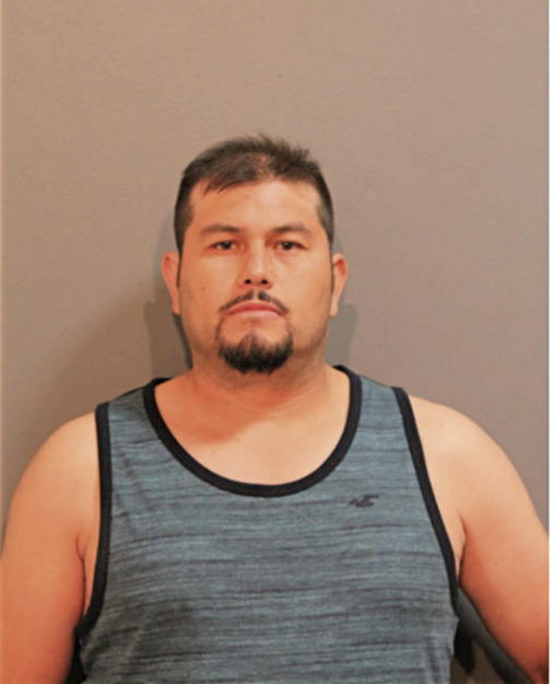 JUAN C ORTEGA, Cook County, Illinois