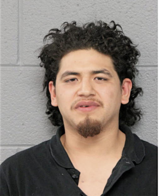 KEVIN T HERNANDEZ, Cook County, Illinois