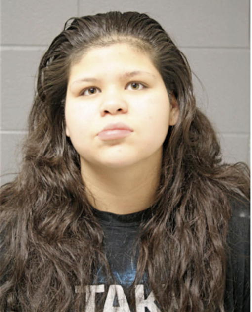 AMBER M ROSALES, Cook County, Illinois