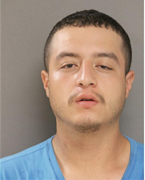 RICARDO SOTO-CORONEL, Cook County, Illinois