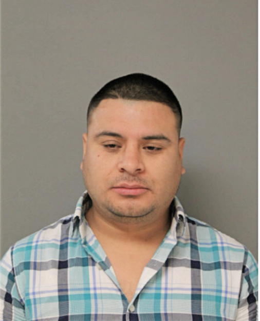 JOSE L GOMEZ LEON, Cook County, Illinois