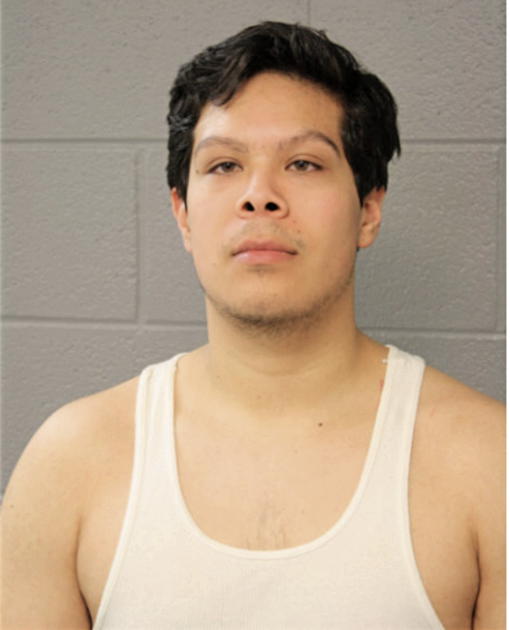 ESTEBAN B HERNANDEZ, Cook County, Illinois