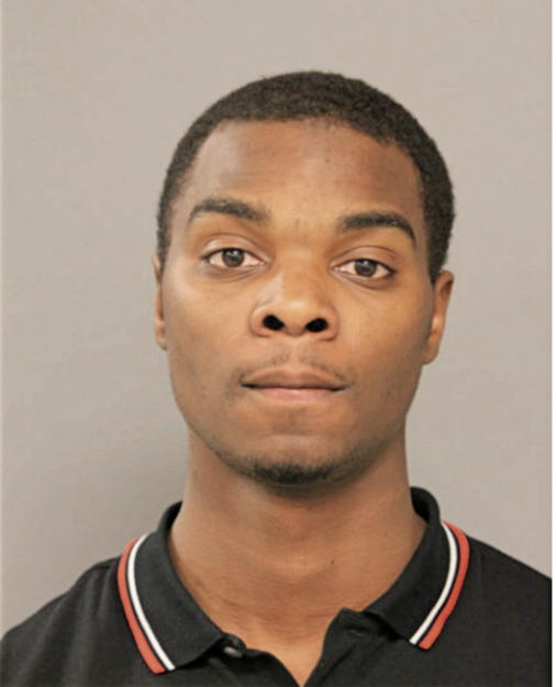 SEAN E JOHNSON, Cook County, Illinois