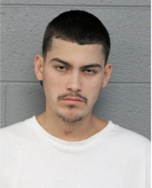 RAY FERNANDO CUEVAS-SALDANA, Cook County, Illinois