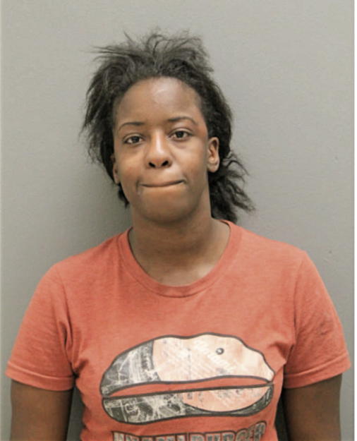 AMBER LEE, Cook County, Illinois
