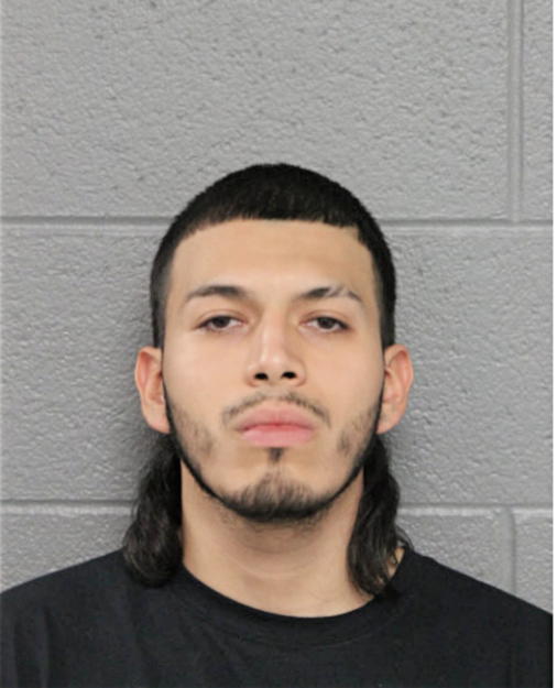 ROBERTO NAVARRO-REYES, Cook County, Illinois