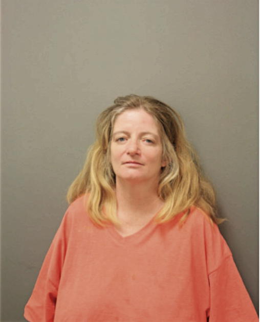 CINDY SEILHEIMER-ZENISEK, Cook County, Illinois