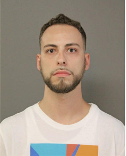 NICHOLAS D TORRES, Cook County, Illinois