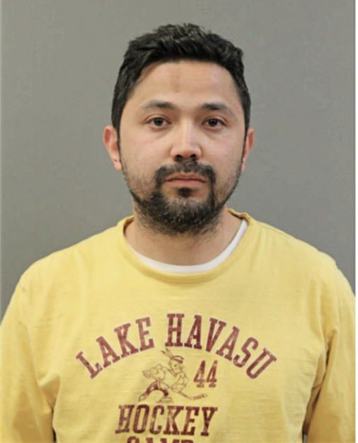 GENARO G HERNANDEZ-BARAJAS, Cook County, Illinois