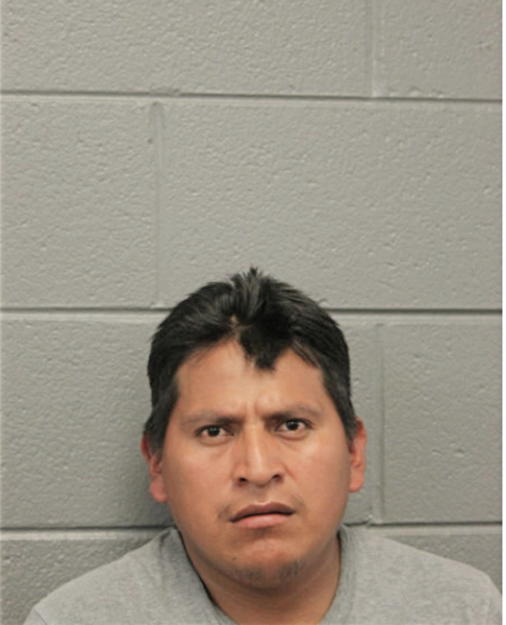 LUIS TENEMAZA, Cook County, Illinois