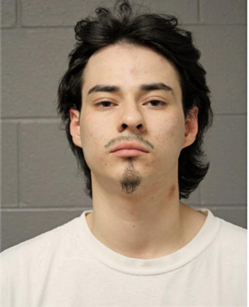 ANDRES SANDOVAL, Cook County, Illinois