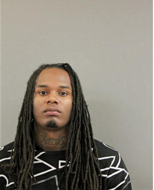 JOSHUA G GHOLSTON-WATSON, Cook County, Illinois