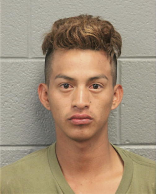 REYVIN RIVAS, Cook County, Illinois