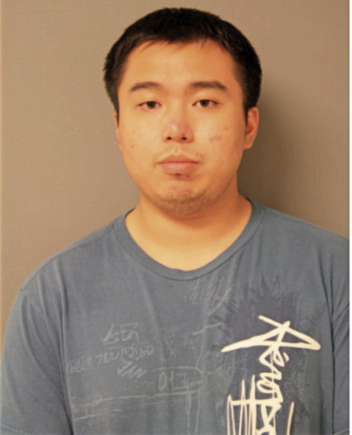 JIA R WENG, Cook County, Illinois