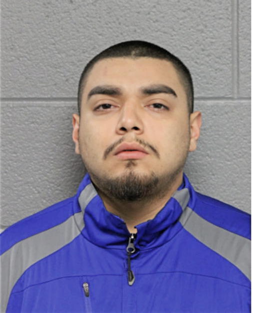 LUIS S LEON, Cook County, Illinois