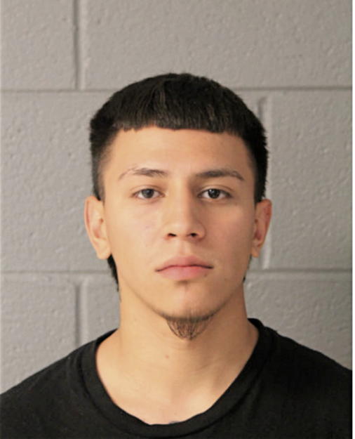 RODRIGO J CRUZ, Cook County, Illinois