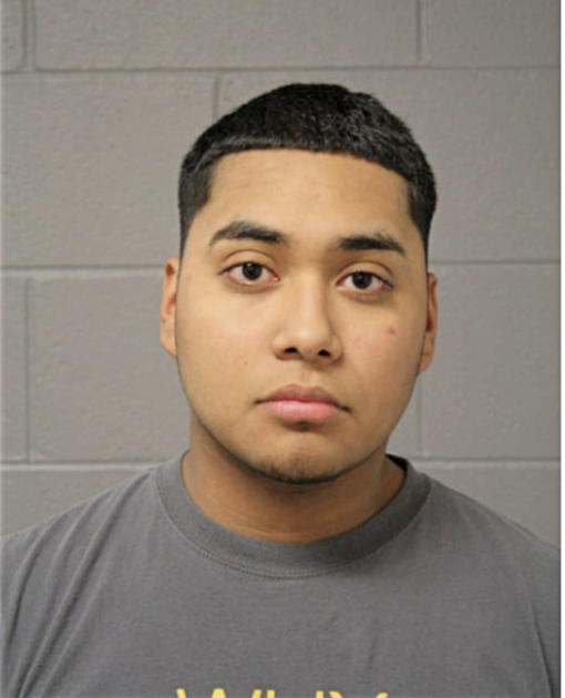 MIGUEL A MARTINEZ, Cook County, Illinois