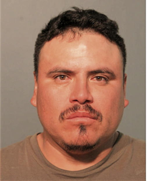 MIGUEL A SILVA, Cook County, Illinois