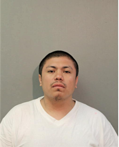 RICKY FERNANDEZ, Cook County, Illinois