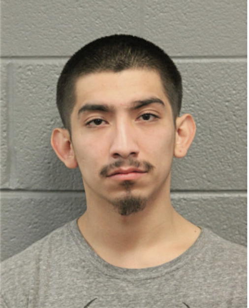 JULIO C FLORES, Cook County, Illinois