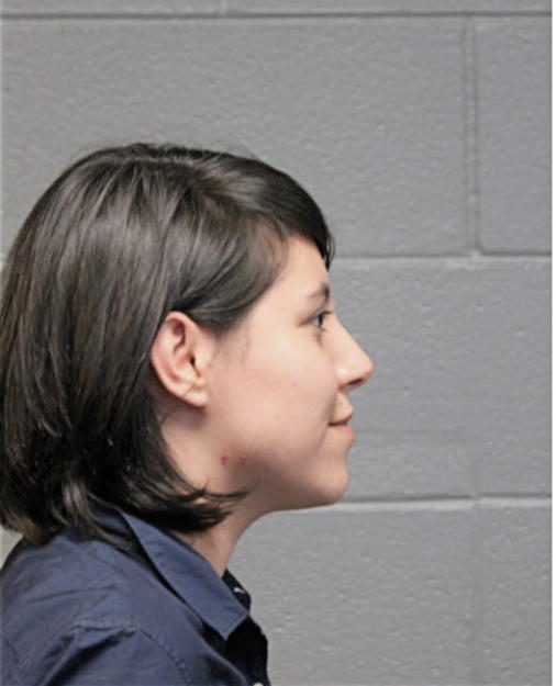 JENNIFER J CARILLO, Cook County, Illinois