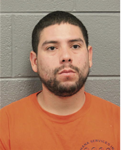 LUIS M SANCHEZ, Cook County, Illinois