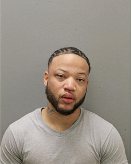 ANDREI L MAYES, Cook County, Illinois