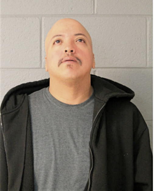 JUAN M PONCE, Cook County, Illinois